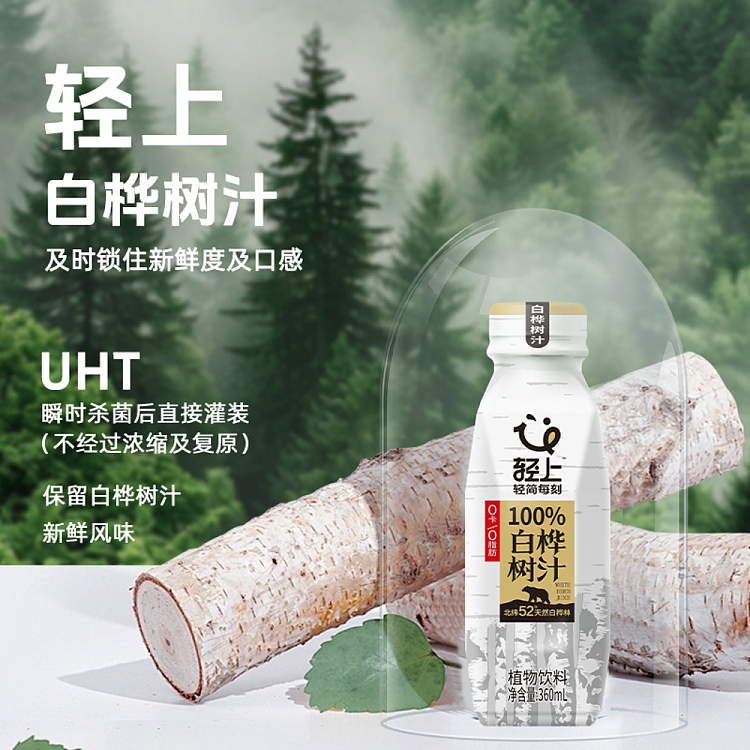 cartonlight-on-birch-juice-360ml15-4