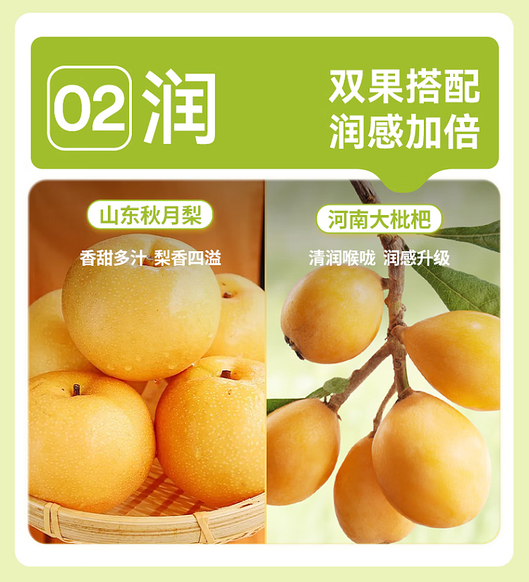 light-on-loquat-small-hanging-pear-1l-6