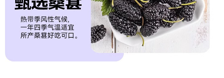 yunsan-semi-umeboshi-plum-sauce-300g-12