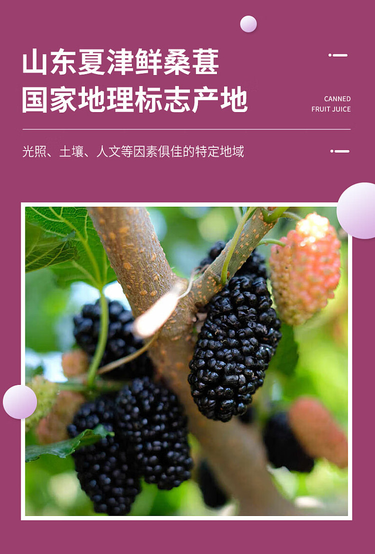 seasonal-story-juice-mulberry-can-390g-4