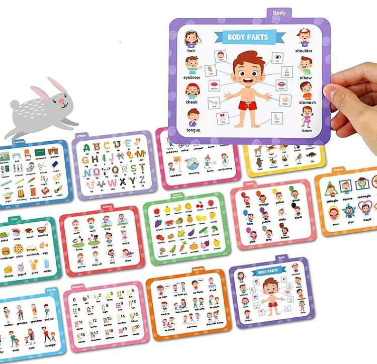 letsgotoschool-school-bus-card-220-sets-3-6-years-old-3