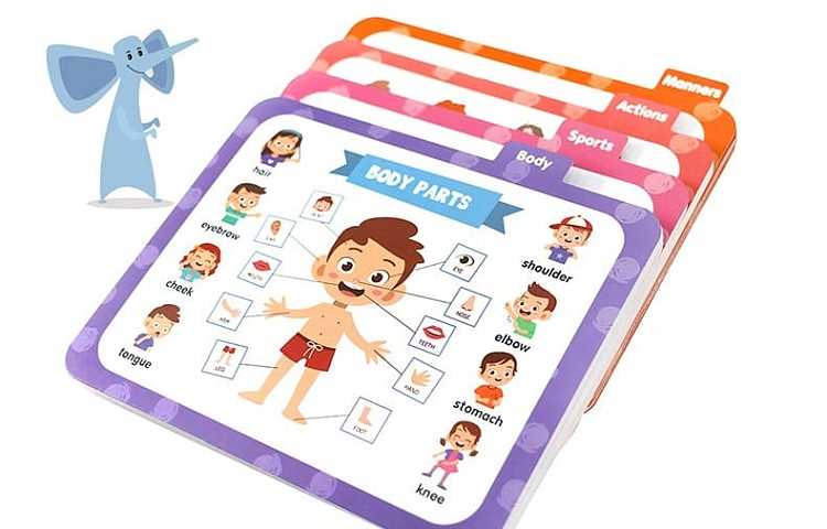 letsgotoschool-school-bus-card-220-sets-3-6-years-old-8