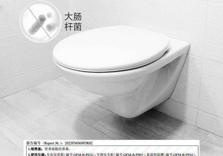 exclusive-to-australiafat-tung-lai-own-brand-dl-fragrance-toilet-bowl-cleaner-600g-15