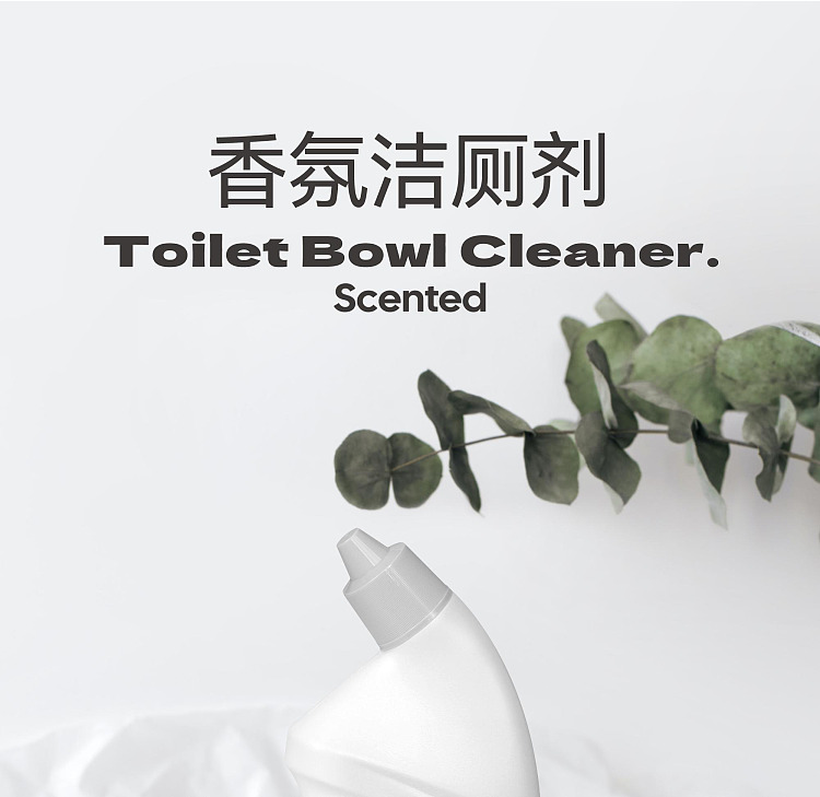 exclusive-to-australiafat-tung-lai-own-brand-dl-fragrance-toilet-bowl-cleaner-600g-7