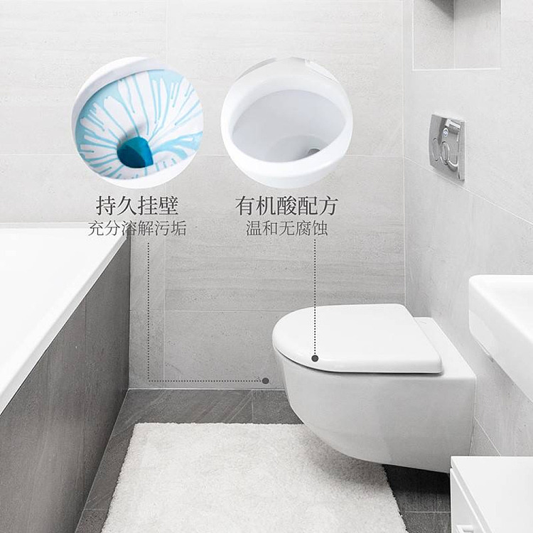 exclusive-to-australiafat-tung-lai-own-brand-dl-fragrance-toilet-bowl-cleaner-600g-2