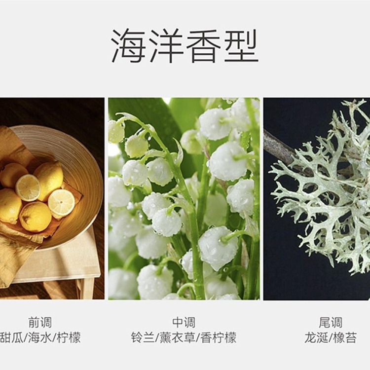exclusive-to-australiafat-dong-lai-own-brand-dl-fragrance-clean-laundry-beads-ocean-scent-12g70pcs-3