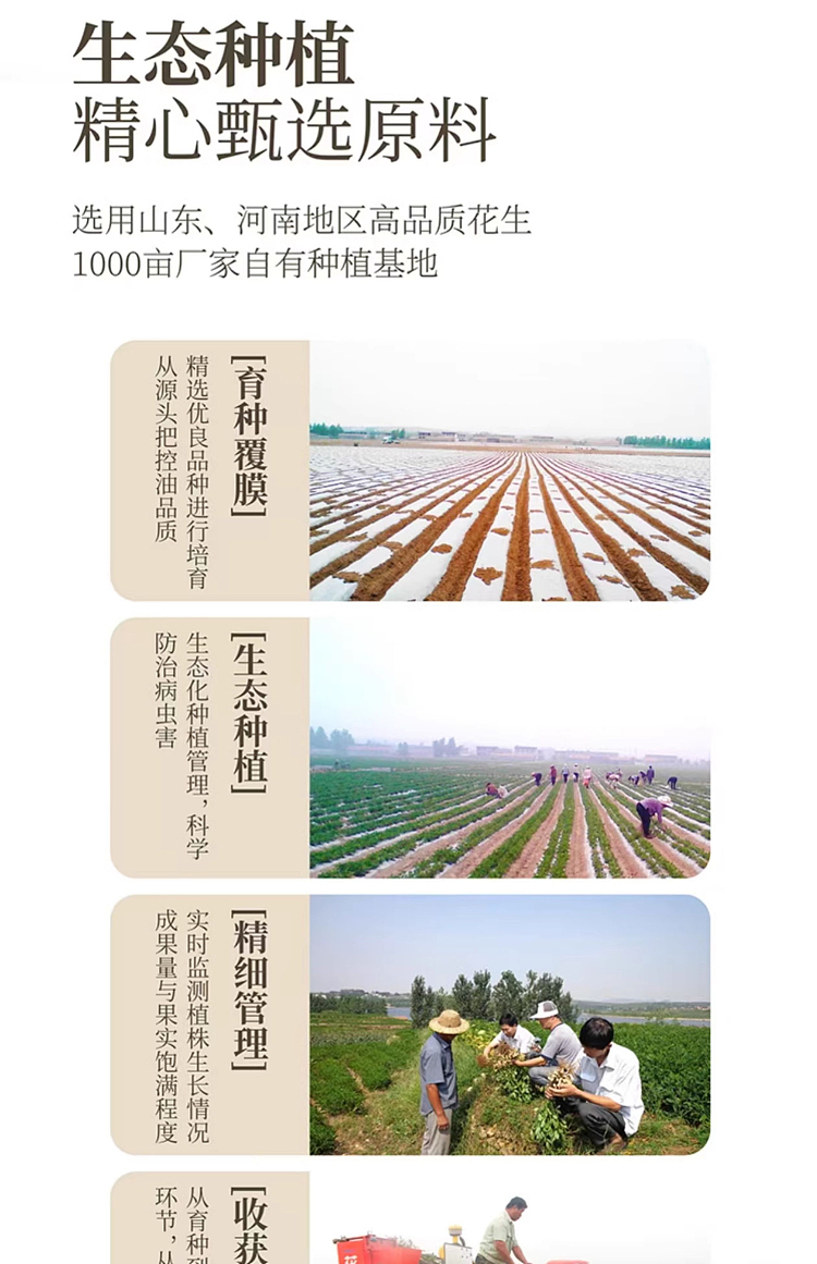 exclusive-to-australiafat-donglai-self-supporting-brand-dl-pressed-grade-1-peanut-oil-5l-6