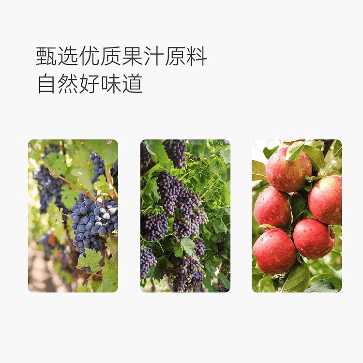 exclusive-to-australiafat-dong-lais-own-brand-dl100-grape-juice-1l6-bottles-4