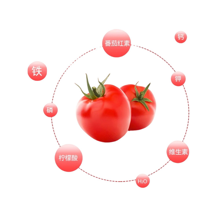 exclusive-to-australia-fat-donglai-self-branded-dl100-tomato-complex-fruit-and-vegetable-juice-1l6-bottles-3