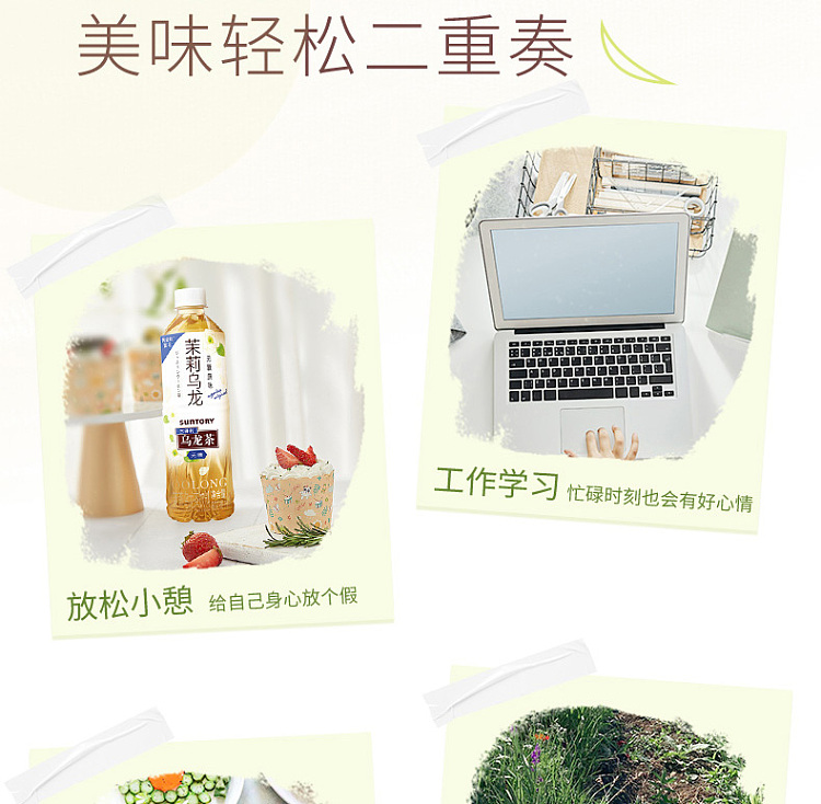 suntory-jasmine-oolong-tea-unsweetened-500ml-8