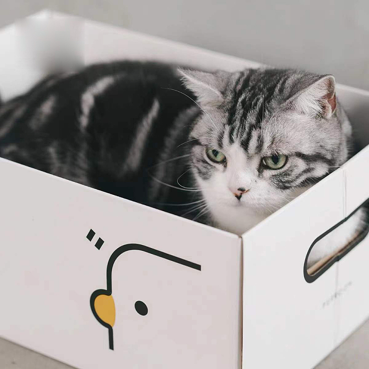 purroom-new-cat-scratcher-box-chicken-patterns-1