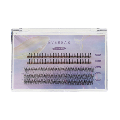 Everbab 艾蓓拉 单簇假睫毛 A型+鱼尾型