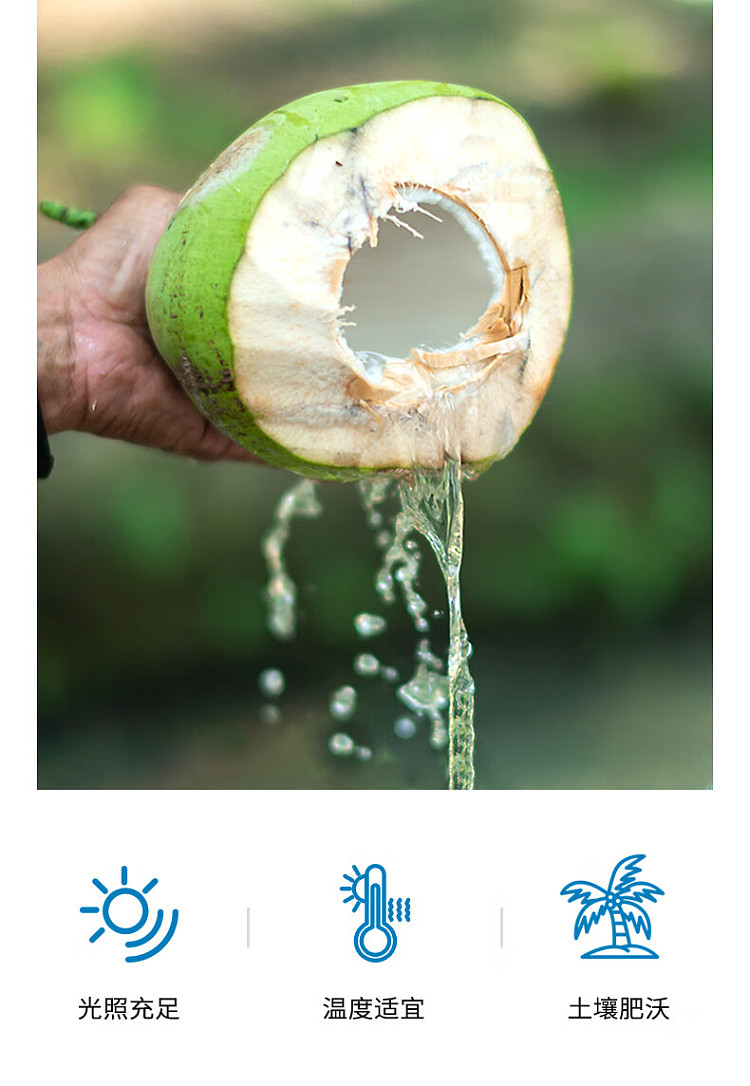 fino-thick-coconut-milk-coconut-water-drink-200ml-9