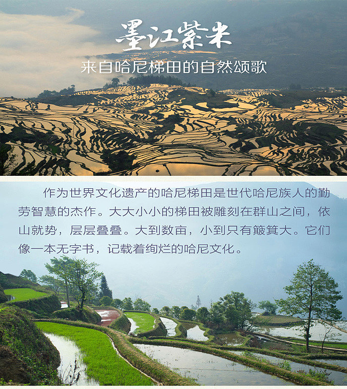 cofco-first-collection-mojiang-purple-rice-400g-1
