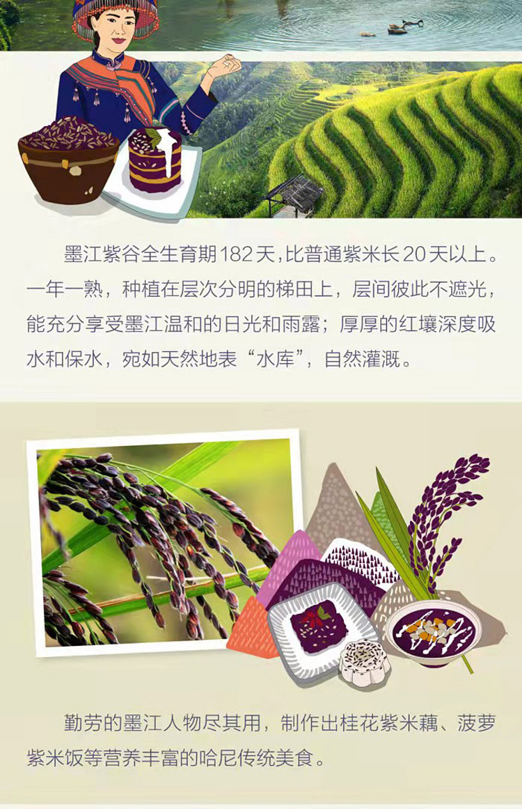 cofco-first-collection-mojiang-purple-rice-400g-3