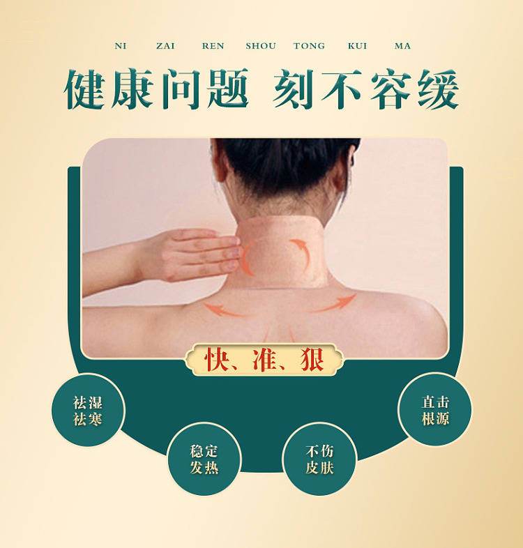 hais-hainuo-moxibustion-patch-adult-5-patch-box-10