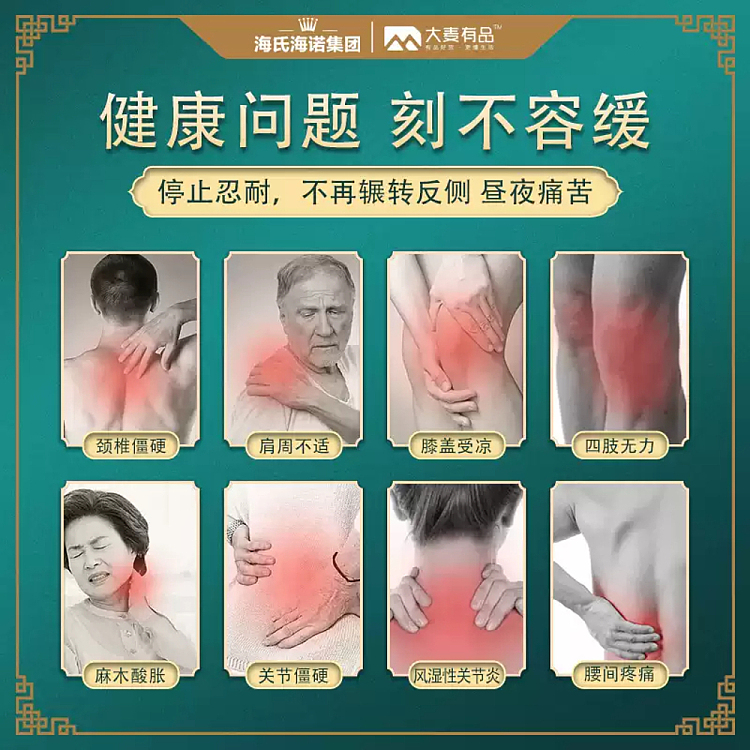 hais-hainuo-moxibustion-patch-adult-5-patch-box-5