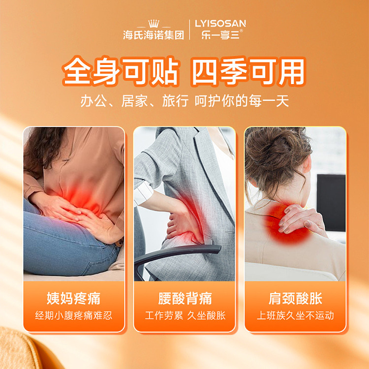 hais-hainuo-warmer-paste-good-warm-duck-10-paste-in-3