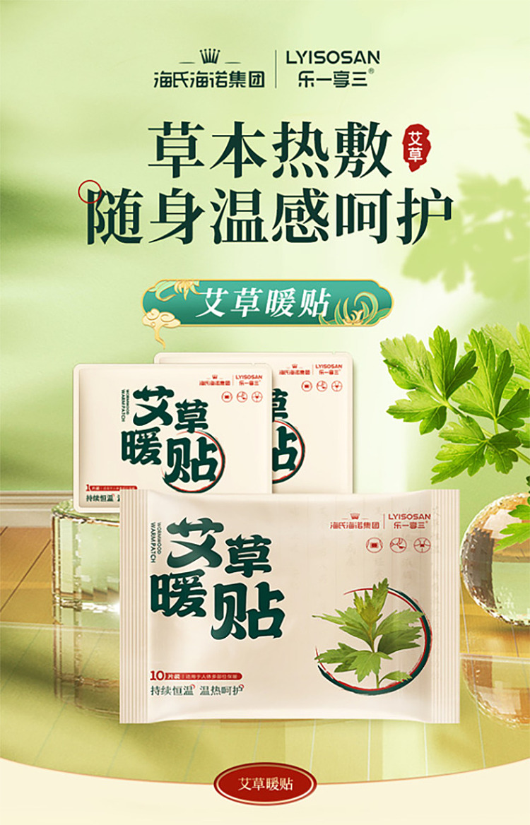 hais-hainuo-herbal-warmer-patch-10pcs-1