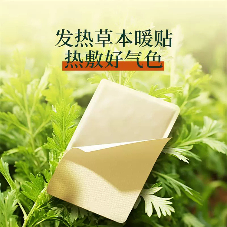 hais-hainuo-herbal-warmer-patch-10pcs-3