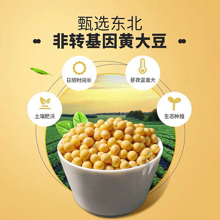 mouth-element-shiping-dried-tofu-original-flavor-50g-2