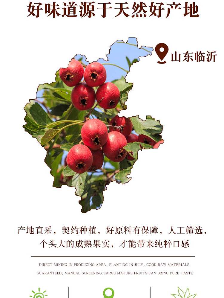frozen-zhu-boss-ice-sugar-gourd-four-flavors-to-choose-70g-4