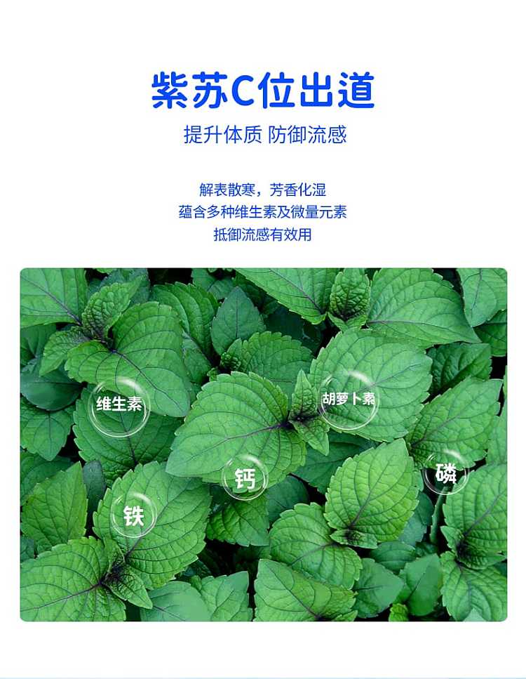 true-buji-shiso-herbal-footbath-30g20-bags-600g-12