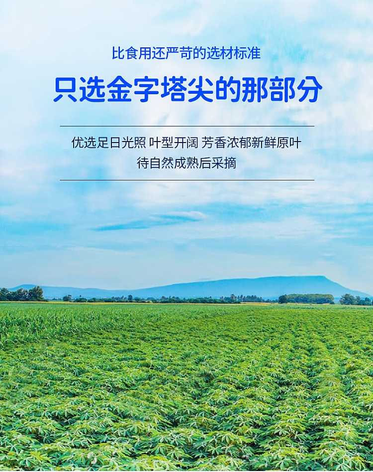 true-buji-shiso-herbal-footbath-30g20-bags-600g-13
