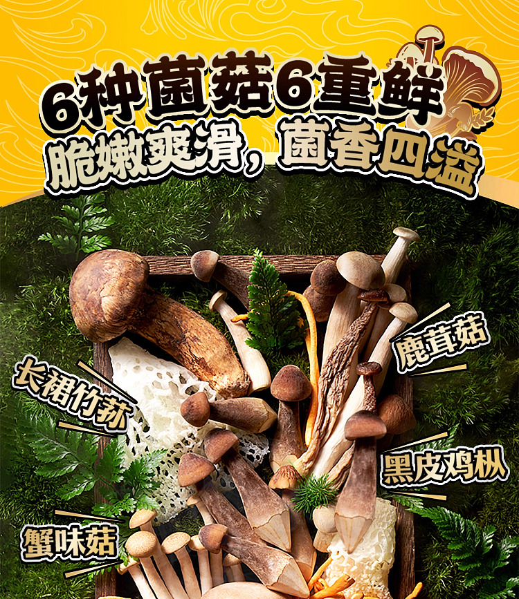 mang-siu-fun-matsutake-chicken-soup-with-rice-noodles-2875g-12
