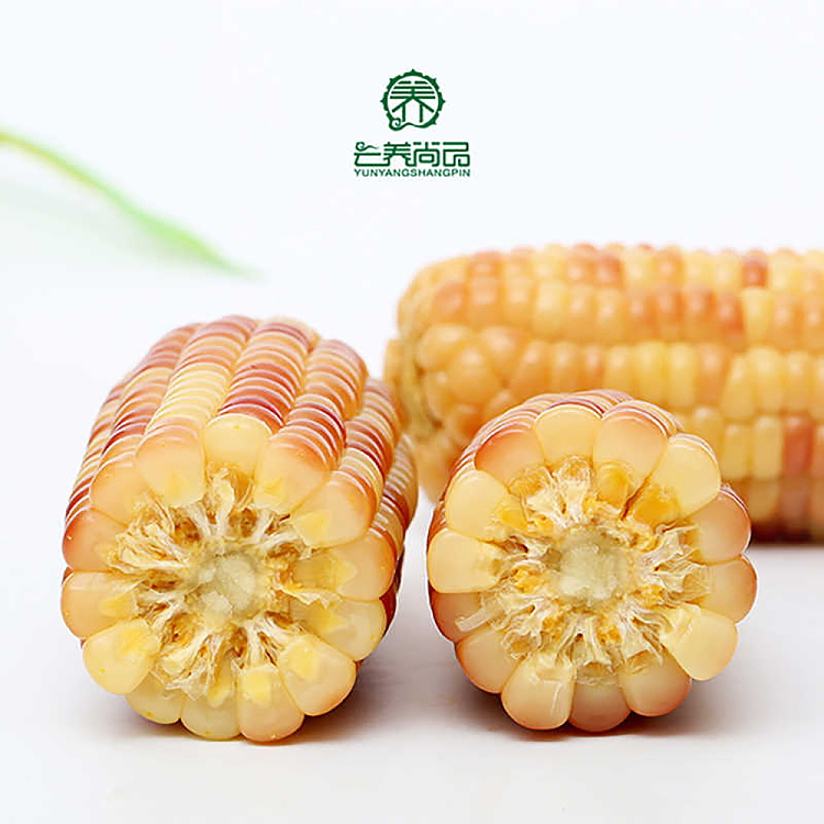 yun-yang-shangpin-flower-glutinous-baby-corn-2kg-3