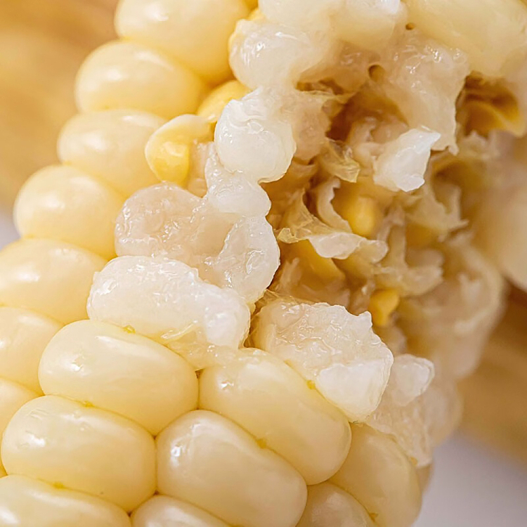 yun-yang-shangpin-greenfield-pearl-white-glutinous-baby-corn-2kg-2
