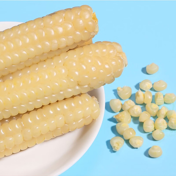 yun-yang-shangpin-greenfield-pearl-white-glutinous-baby-corn-2kg-3