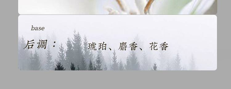 song-dynasty-four-seasons-leisure-garden-essential-oil-2-x-10-ml-elegant-white-tea-12