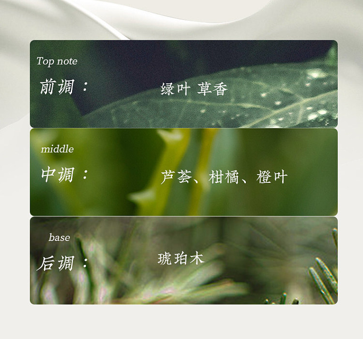 song-dynasty-four-seasons-leisure-garden-essential-oil-2-x-10-ml-elegant-white-tea-6