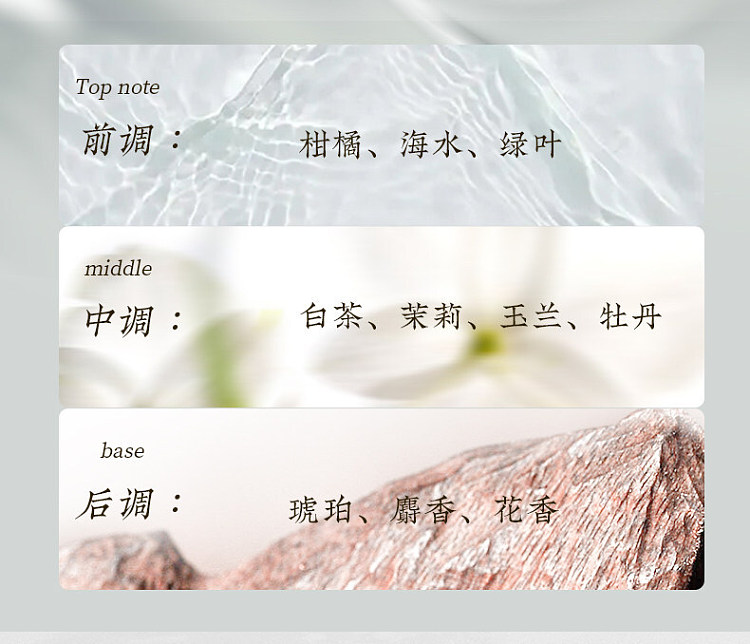 song-dynasty-four-seasons-leisure-garden-essential-oil-2-x-10-ml-elegant-white-tea-8