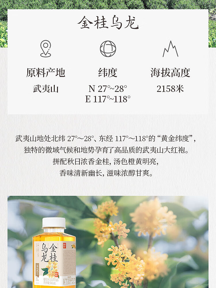 fruit-ripe-golden-laurel-oolong-tea-osmanthus-flavor-500ml-5