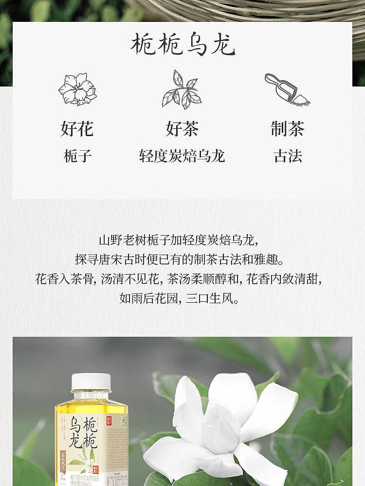 fruit-ripe-golden-laurel-oolong-tea-osmanthus-flavor-500ml-7