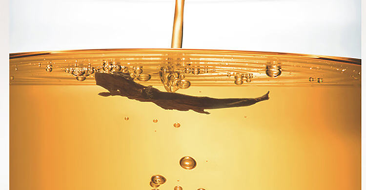 fruit-ripe-gardenia-oolong-tea-gardenia-flavor-970ml-16