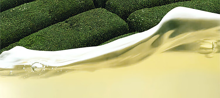 fruit-ripe-gardenia-oolong-tea-gardenia-flavor-970ml-7