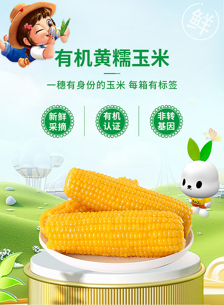 autumn-taste-corn-white-sticky-black-sticky-yellow-sticky-flower-sticky-randomly-sent-10pcs-1