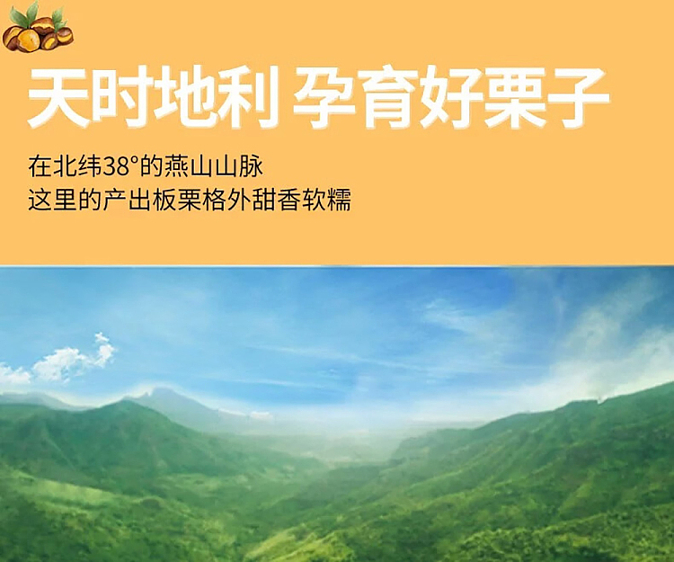 xi-cinnamon-oil-chestnut-kernel-honey-flavor-158g-4