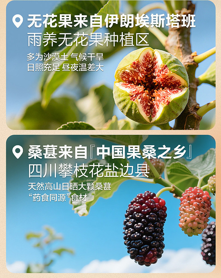 liangpinpuzi-fig-and-mulberry-pie-200g-3