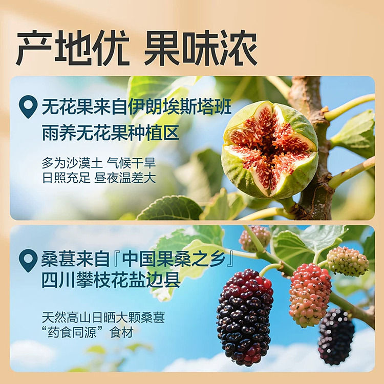 liangpinpuzi-fig-and-mulberry-pie-200g-5