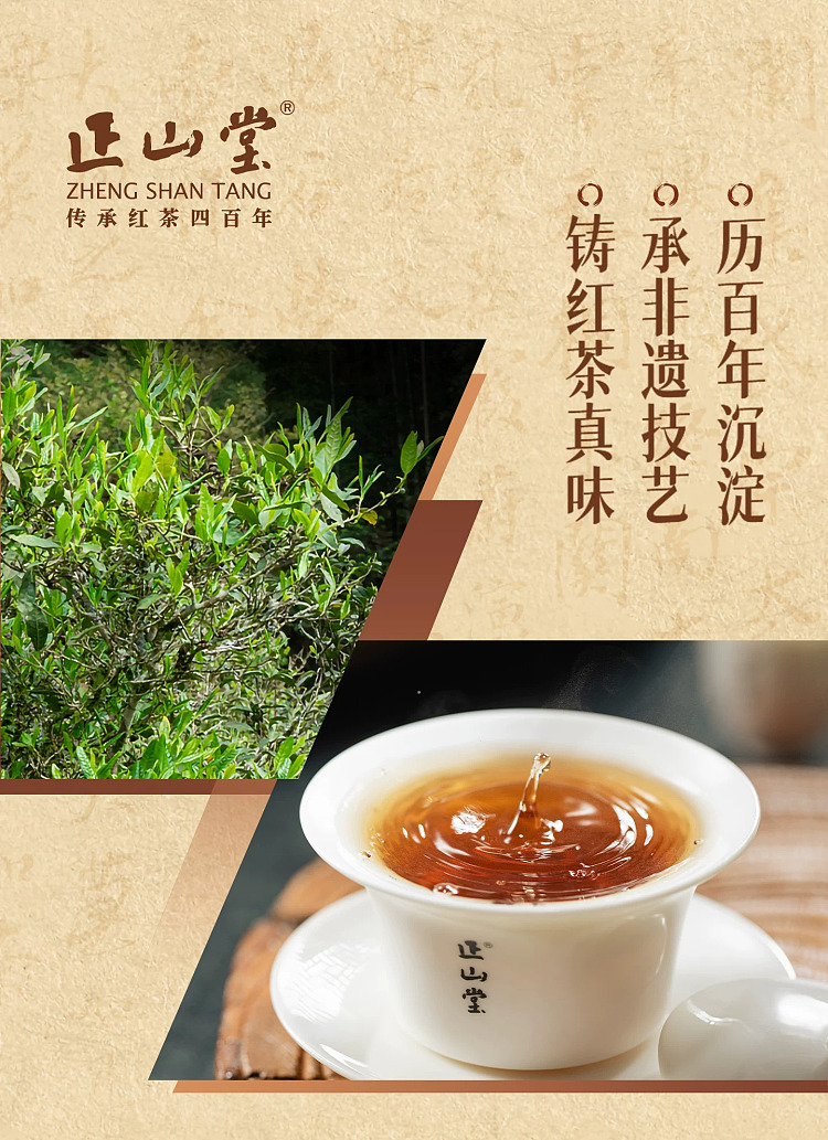 zhengshantang-zhengshan-xiaozhong-black-tea-authentic-tongmuguan-classic-can-50g-12