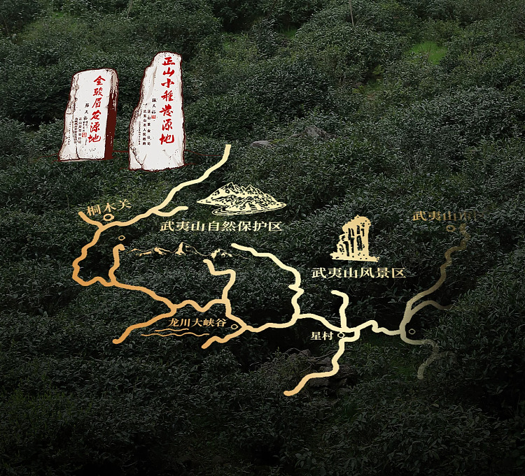 zhengshantang-zhengshan-xiaozhong-black-tea-authentic-tongmuguan-classic-can-50g-18