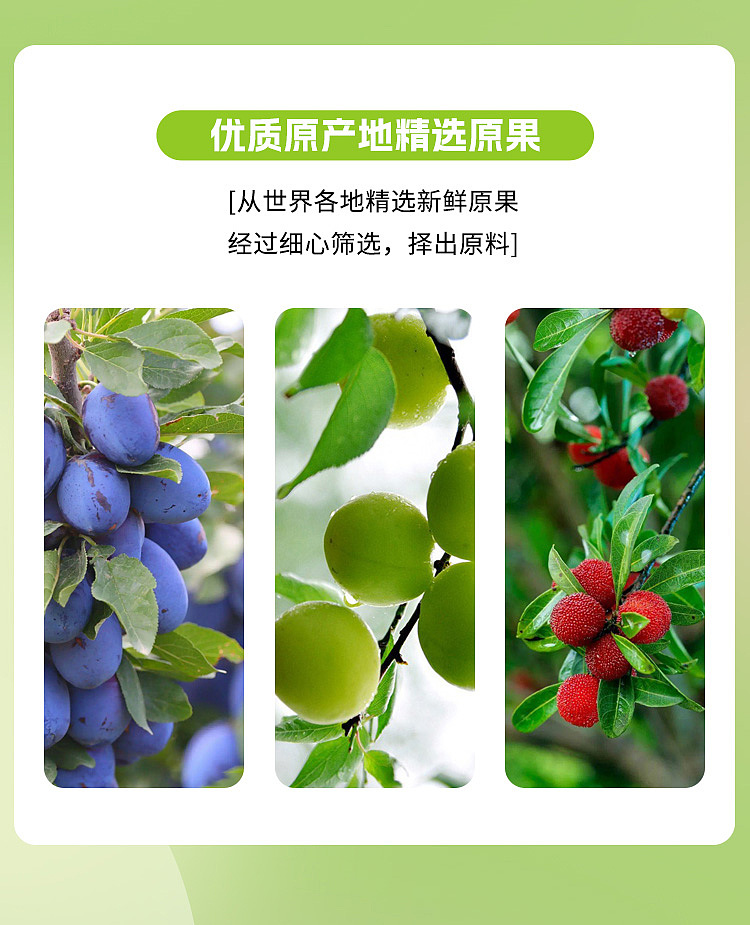 seven-points-stack-umeboshi-468g-3