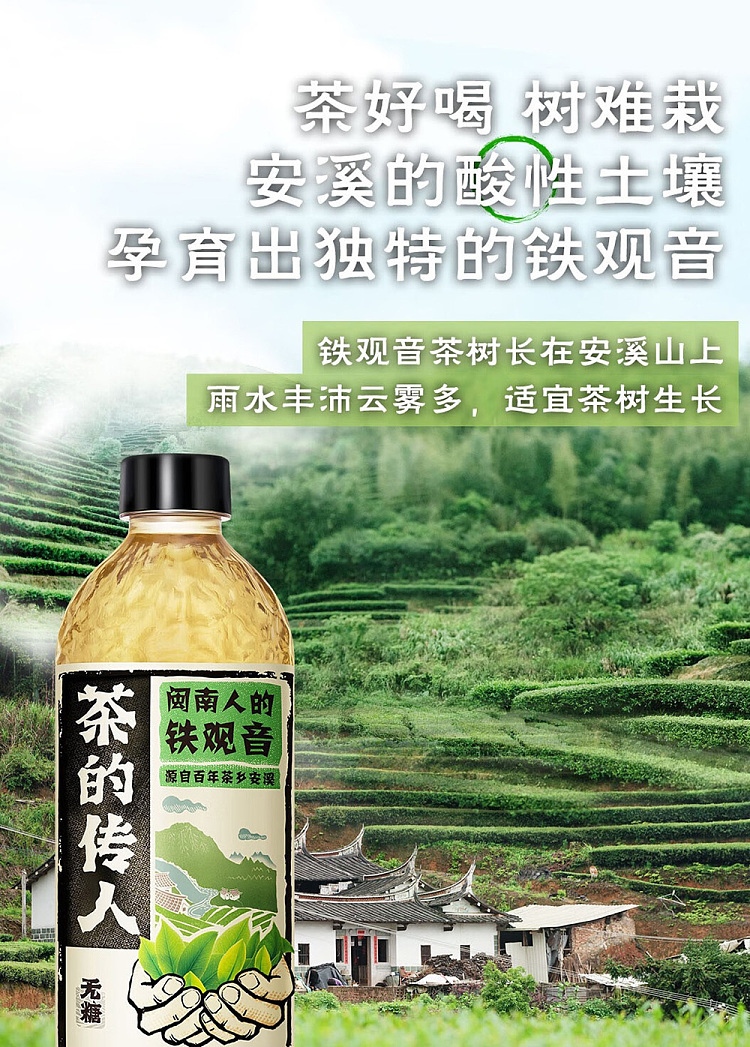 whole-case-tieguanyin-original-flavor-500ml15-bottle-cases-by-kangshifu-teas-heirloom-minnan-people-1