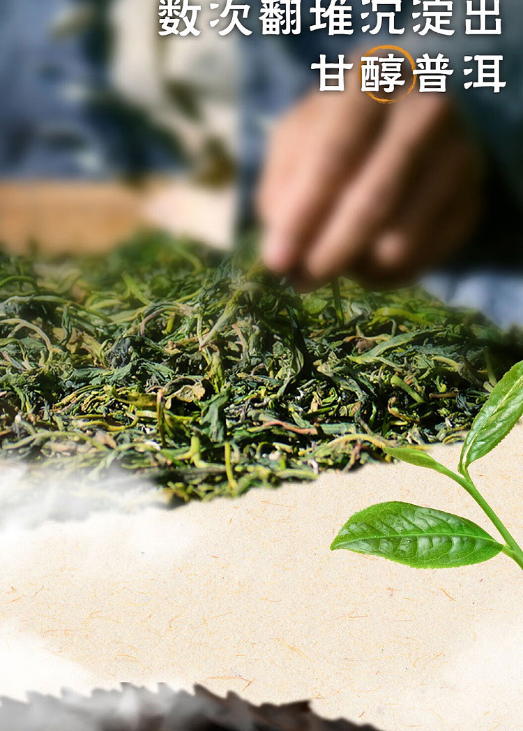 whole-case-tieguanyin-original-flavor-500ml15-bottle-cases-by-kangshifu-teas-heirloom-minnan-people-6