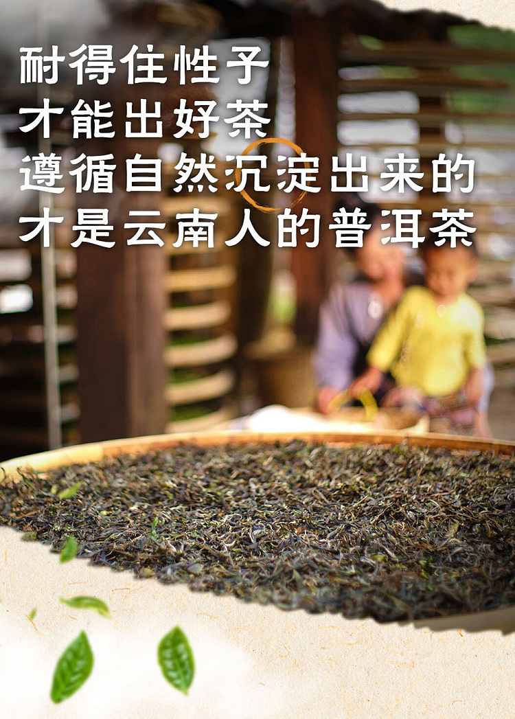 whole-case-tieguanyin-original-flavor-500ml15-bottle-cases-by-kangshifu-teas-heirloom-minnan-people-7