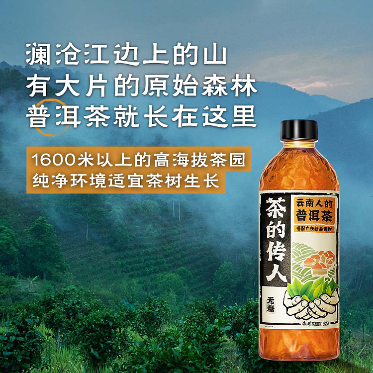 kangshifu-tea-heirloom-yunnan-peoples-pu-erh-tea-green-citrus-pu-erh-500ml-4